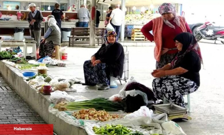Muğla'daki "Köylü Pazarı" bayanların geçim kaynağı oldu! Talebe yetişmekte zorlanıyorlar - Haberois Muğla'daki "Köylü Pazarı" bayanların geçim kaynağı oldu! Talebe yetişmekte zorlanıyorlar