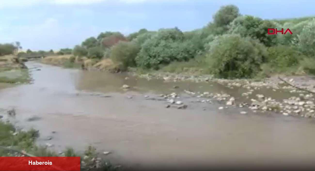 Narin'in otopsi süreçleri tamamlandı! Narin Güran'a ne oldu?