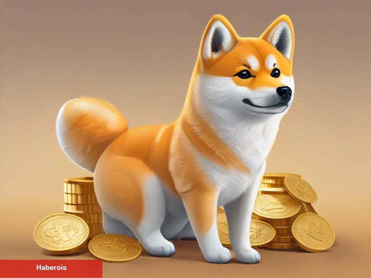 NEIRO Coin Nedir? Neiro Coin Fiyat Yorumları