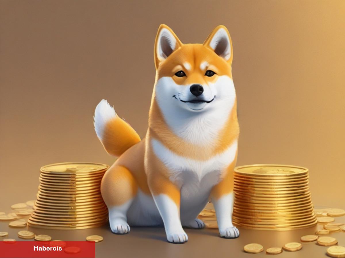 NEIRO Coin Nedir? Neiro Coin Fiyat Yorumları