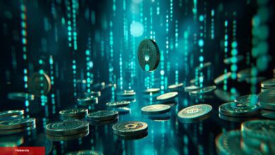O Altcoin’e Siber Akın: Milyonlarca Dolarlık Coin Çalındı!