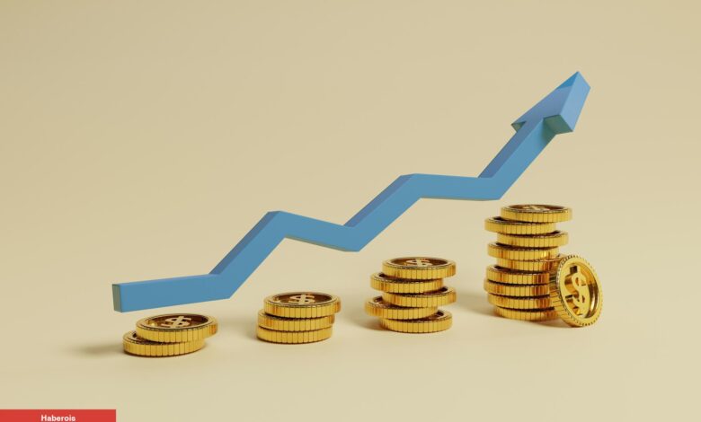 O Altcoin’i 8 Yıl Boyunca Tutan Yatırımcı, Yüzde 45.877 Kâr Yaptı! - Haberois O Altcoin’i 8 Yıl Boyunca Tutan Yatırımcı, Yüzde 45.877 Kâr Yaptı!
