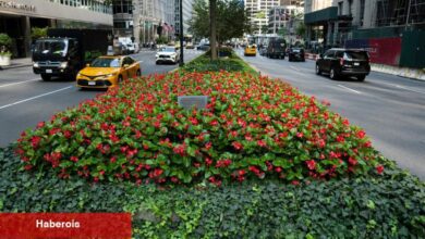 Park Avenue'nun Ortasında Takılmak İsteyen Var Mı?