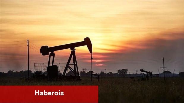 Petrol devlerinin kârında yüzde 10'luk düşüş - Haberois Petrol devlerinin kârında yüzde 10'luk düşüş