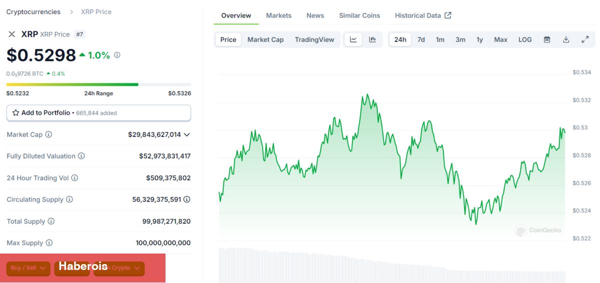 Piyasa Hareketlendi: Bitcoin Yükselirken, Bu Altcoinler Parlıyor!