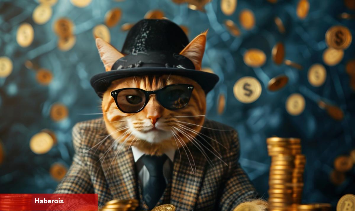 PSPS Coin Nedir? BobaCat Geleceği ve Fiyat Yorumları
