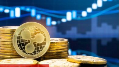 Ripple CEO'su XRP rallisinin an meselesi olduğunu düşünüyor