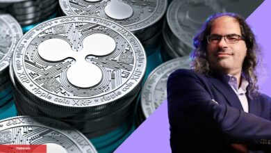 Ripple CTO’su RLUSD Konusunda Kıymetli Açıklamalar Yaptı!