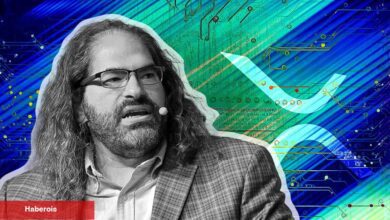 Ripple CTO’sundan XRP Topluluğuna Değerli İhtar: Dikkatli Olun!