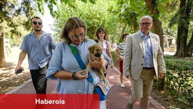 Sahipsiz Köpek Popülasyonu Yönetimi İzmir Eylem Planı hazırlandı