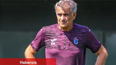 Şenol Güneş'ten güç birliği