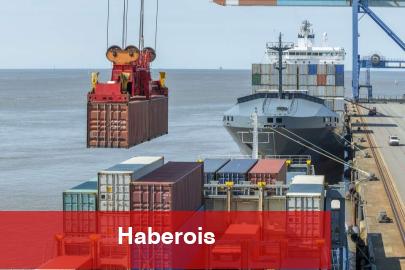Serbest bölgelerdeki ihracat KOBİ’lere yarıyor
