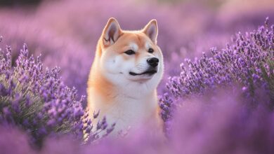 Shiba Inu Yatırımcılarına Şok: Analist, Umutları Çökertti!