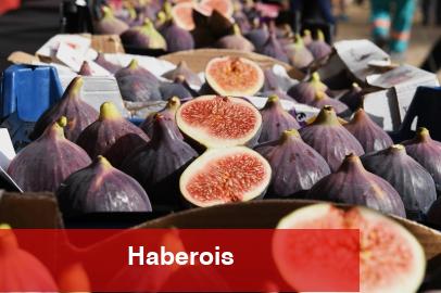 Siyah incir Bursa’nın gözbebeği