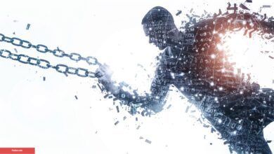SLF Coin Nedir? Self Chain Fiyat Yorumları