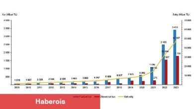 Tüik: En fazla firma toptan ve perakende ticaret; motorlu kara taşıtlarının ve motosikletlerin onarımı sektöründe yer aldı