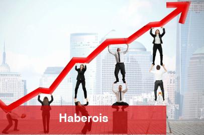 Türkiye'deki işverenleri önümüzdeki çeyrek sakin piyasa bekliyor