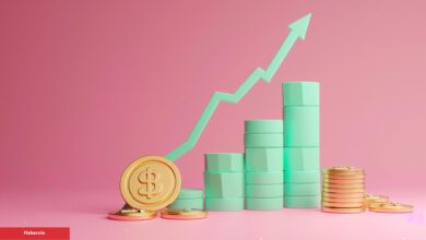 Ünlü İsim Açıkladı: Bu Altcoin Pahasının Çok Altında, Boğayım!