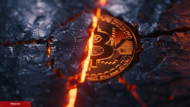 Uzman Uyardı: Artık ‘Dört Yıllık Bitcoin Döngüsü’ Bitti!