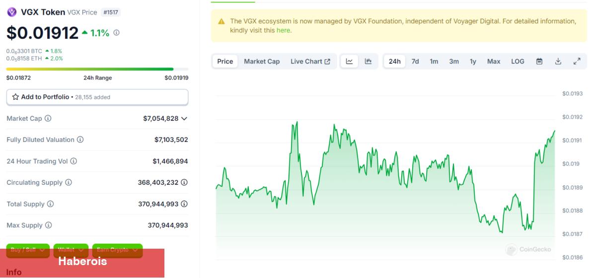VGX Coin Nedir? Voyager Geleceği ve Fiyat Yorumları