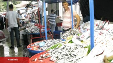 Yenişehir’de balıkçı tezgâhları şenlendi
