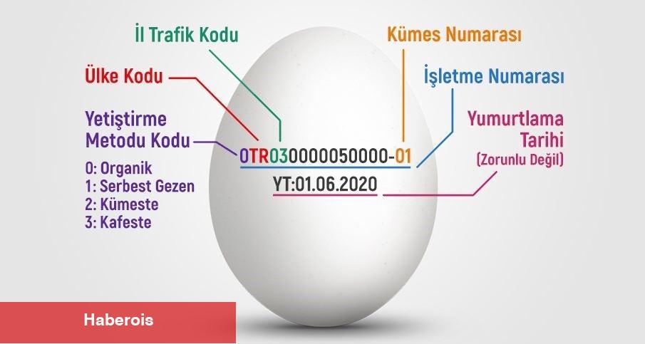 Yumurtaların üstündeki numaralar ne manaya geliyor? Bakanlık'tan 'ilaçlı' savına cevap