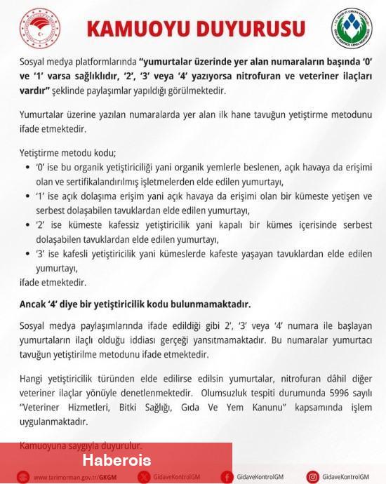 Yumurtaların üstündeki numaralar ne manaya geliyor? Bakanlık'tan 'ilaçlı' savına cevap