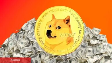 10 Bin Dolarla 1 Milyonluk Vurgun: Dogecoin Kaç Olursa Mümkün?