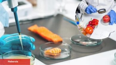 AB'nin 'Gıda Güvenliği'ne Türkiye'de katıldı... Gıda etiketi okuma alışkanlığı teşvik edilecek