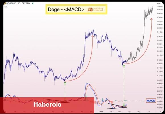 Analistler Açıkladı: Bu Memecoin 10 Kat Yükselecek! Hazır Olun, Başlıyor!