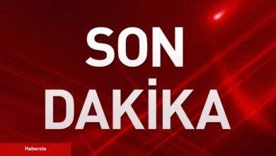 Avrupa Konseyi’nden Türkiye’ye ‘İnsan Hakları’ Hatırlatması
