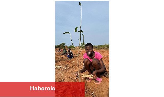 Bağcılar Belediyesi, Afrika'da yetimler için meyve bahçesi oluşturdu - Haberois Bağcılar Belediyesi, Afrika'da yetimler için meyve bahçesi oluşturdu