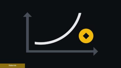 Bu Altcoin Yeni Güncellemeyle Suratları İkiye Katladı: Fiyat Yükselebilir mi?