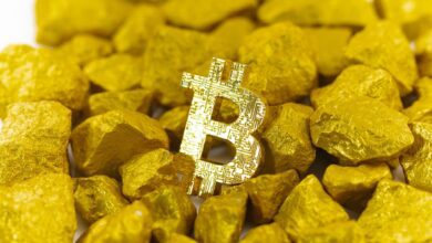 “Bu Tabanlar Olacak” Analist, Altın ve Bitcoin Amacını Paylaştı!