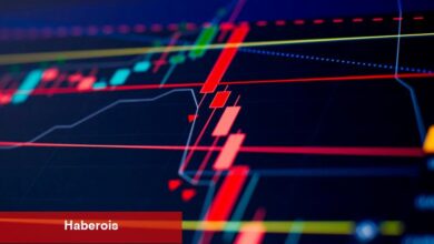 Bu Tanınan Altcoin, Üçgen Formasyonu Nedeniyle Yüzde 50 Düşüş Riski Taşıyor!
