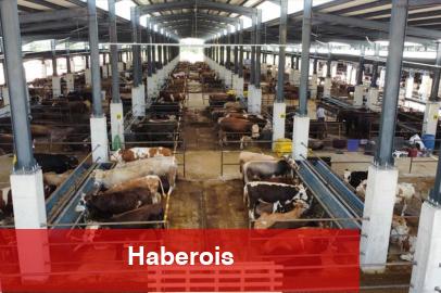 Bursa İnegöl'de hayvan pazarının kotra ihale tarihi netleşti