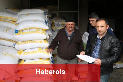 Bursa'nın dağ ilçelerine aspir tohumu dağıtıldı