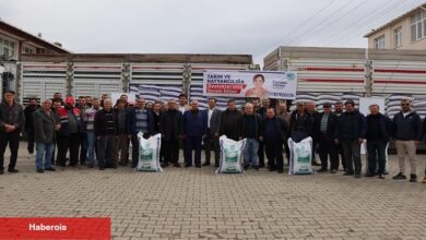 Büyükşehirden, üreticilere kuzu-oğlak yemi desteği