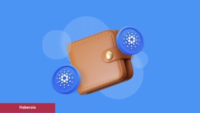 Cardano (ADA) 0.80 Doları Zorluyor! Tahliller Ne Diyor?