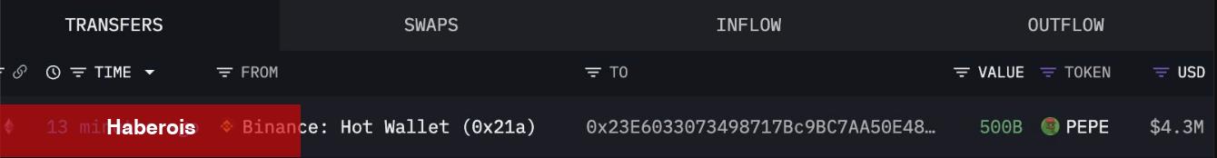 Dev Balina Binance’den O Göğüs Coin’i Topluyor: Bu Düzeyler Bekleniyor!