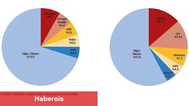 Dış Ticaret İstatistikleri, Şubat 2025