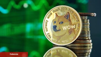 DOGE için Döngü Gayesi Açıklandı: Yeni Bir Tepe mi?