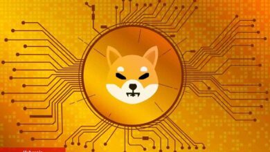 DOGE ve SHIB İçin Değerli Kestirim: Bu Düzeyler Yakında!