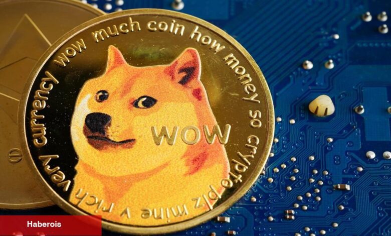 DOGE Yatırımcıları Endişeli! Toparlanma Potansiyeli Var mı? - Haberois DOGE Yatırımcıları Endişeli! Toparlanma Potansiyeli Var mı?
