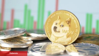 Dogecoin Fiyatında Büyük Yükseliş Beklentisi Var: Bunlara Dikkat!