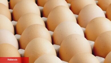 Egeli ihracatçılar: Yumurtada fon kesintisi ihracatı durduracak bir karar!