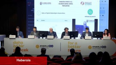 Enerjisa Enerji yatırımlarıyla büyüme ivmesini sürdürdü