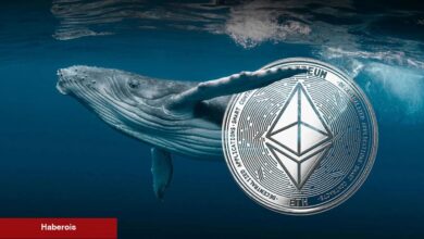 Ethereum Düşmeye Devam Ederse Bu Kripto Balinaları 230 Milyon Dolar Kaybedecek!