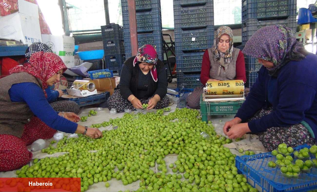 Fiyatı 8 bin TL'den 400 TL'ye düştü! Yurt dışından ağır talep var