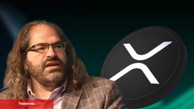 IMF, XRP’ye ‘Menkul Kıymet’ mi Diyecek? Ripple CTO’su Açıklama Yaptı